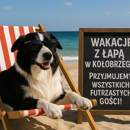119 W 5 Gwiazdkowym Royal Tulip Sand 200 M Plaza Dobruk Apartamenty Kolobřeh Exteriér fotografie